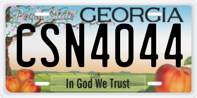 GA license plate CSN4044