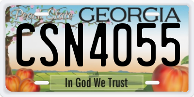 GA license plate CSN4055