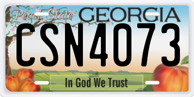 GA license plate CSN4073