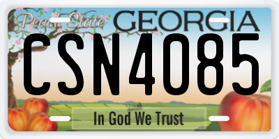 GA license plate CSN4085