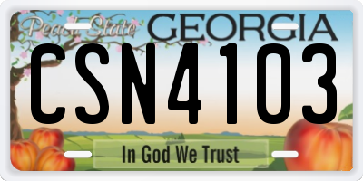 GA license plate CSN4103