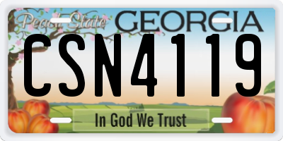 GA license plate CSN4119