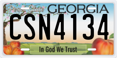 GA license plate CSN4134