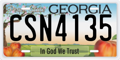 GA license plate CSN4135