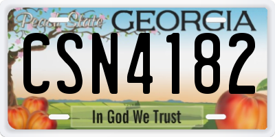 GA license plate CSN4182