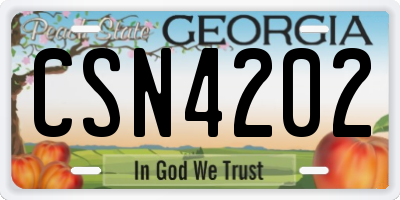 GA license plate CSN4202