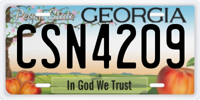 GA license plate CSN4209