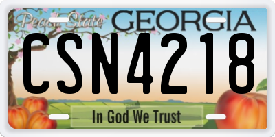 GA license plate CSN4218