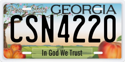 GA license plate CSN4220
