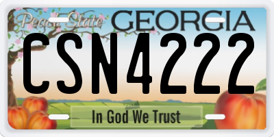 GA license plate CSN4222
