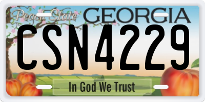 GA license plate CSN4229