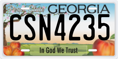 GA license plate CSN4235