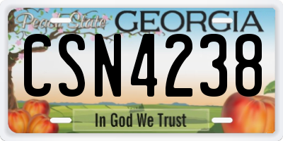 GA license plate CSN4238