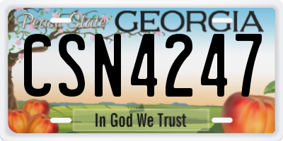 GA license plate CSN4247