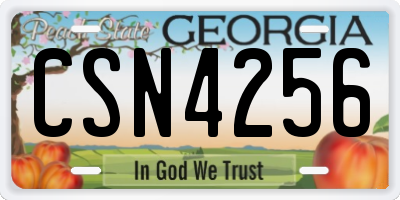 GA license plate CSN4256