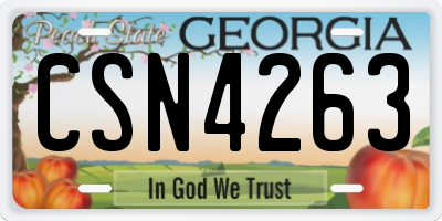 GA license plate CSN4263