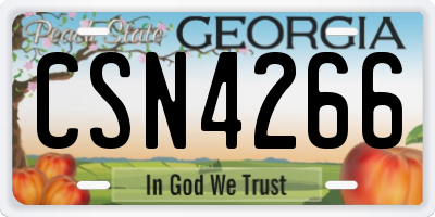 GA license plate CSN4266
