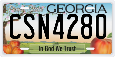 GA license plate CSN4280