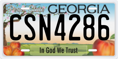 GA license plate CSN4286