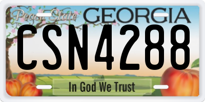 GA license plate CSN4288