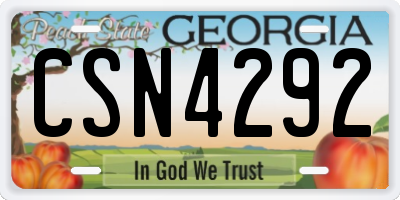 GA license plate CSN4292