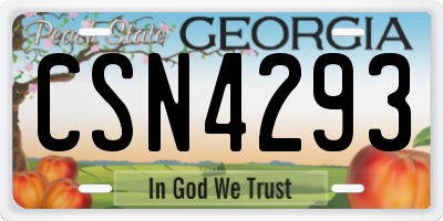 GA license plate CSN4293