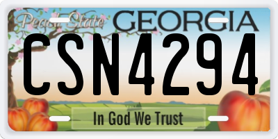 GA license plate CSN4294