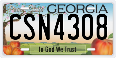 GA license plate CSN4308