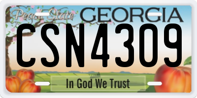 GA license plate CSN4309