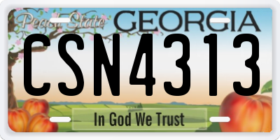 GA license plate CSN4313