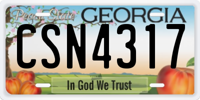 GA license plate CSN4317