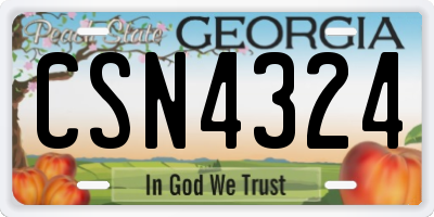 GA license plate CSN4324
