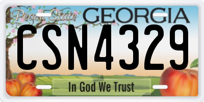 GA license plate CSN4329