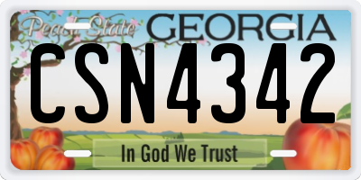 GA license plate CSN4342