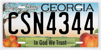 GA license plate CSN4344