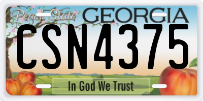 GA license plate CSN4375