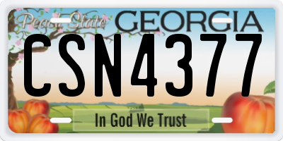GA license plate CSN4377