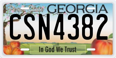 GA license plate CSN4382