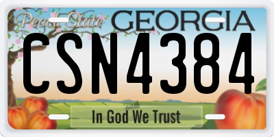 GA license plate CSN4384