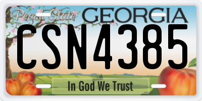 GA license plate CSN4385