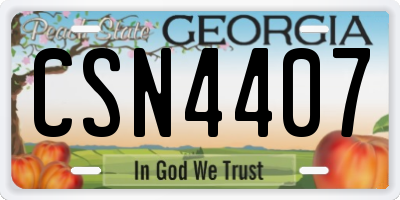 GA license plate CSN4407
