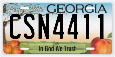 GA license plate CSN4411
