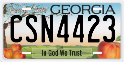 GA license plate CSN4423