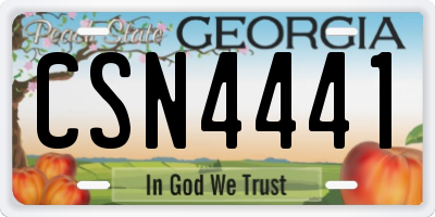 GA license plate CSN4441