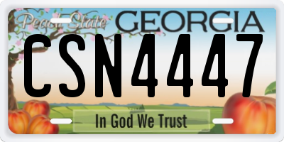 GA license plate CSN4447