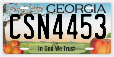 GA license plate CSN4453