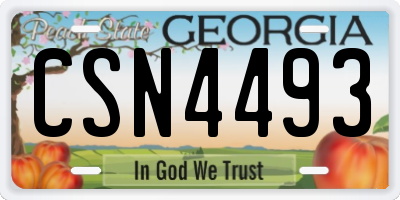 GA license plate CSN4493