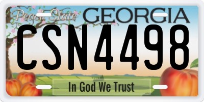 GA license plate CSN4498
