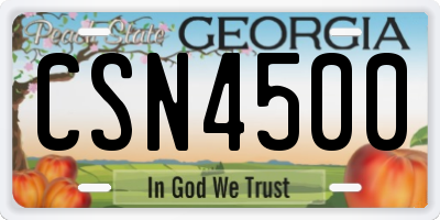 GA license plate CSN4500