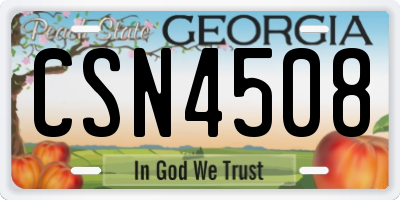GA license plate CSN4508